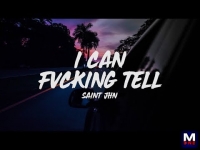 SAINt JHN - I Can Fucking Tell перевод