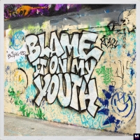 Blink-182 - Blame It On My Youth перевод