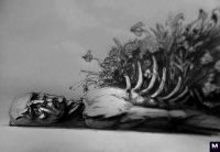 BONES - Decomposing перевод