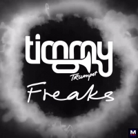 Timmy Trumpet & Savage - Freaks перевод