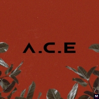 A.C.E. - Under Cover перевод