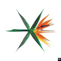 EXO – Ko Ko Bop перевод