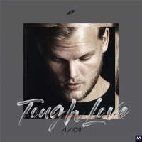 Avicii - Tough Love перевод
